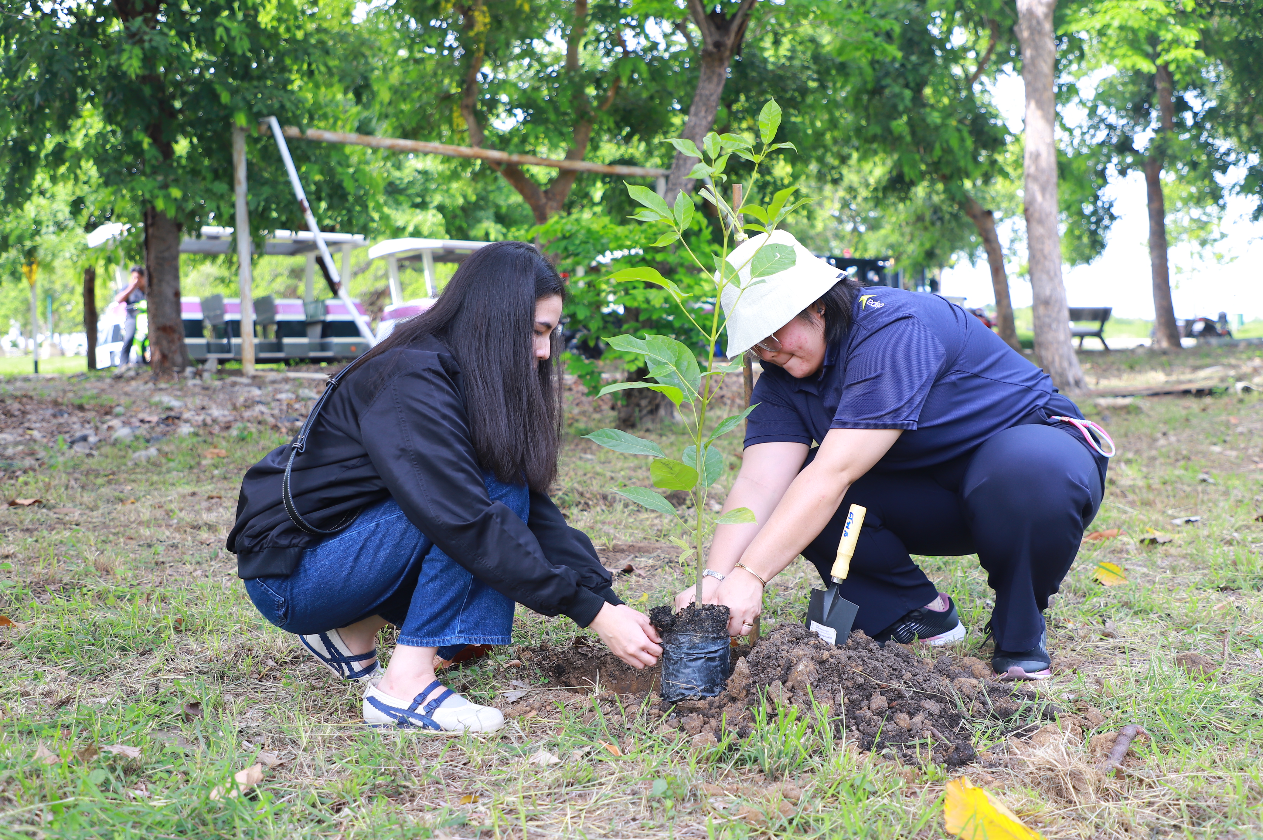 title - ส.ป.ก. - depa ร่วมใจปลูกต้นไม้ ภายใต้กิจกรรม CSR ปลูกต้นไม้ (Grow Green) เพิ่มพื้นที่สีเขียว ลด CO2 ณ ศูนย์ส่งเสริมและพัฒนาอาชีพเสริมนอกภาคการเกษตร